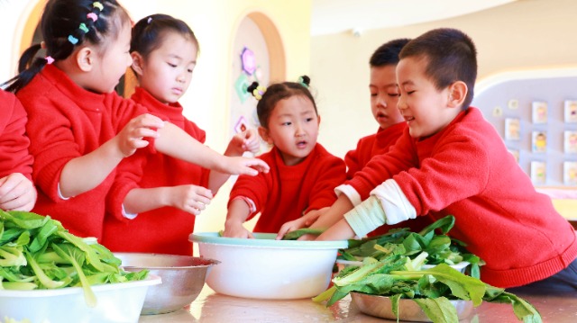 幼兒自己擇菜、清洗蔬菜。宋雪蓮攝.jpg